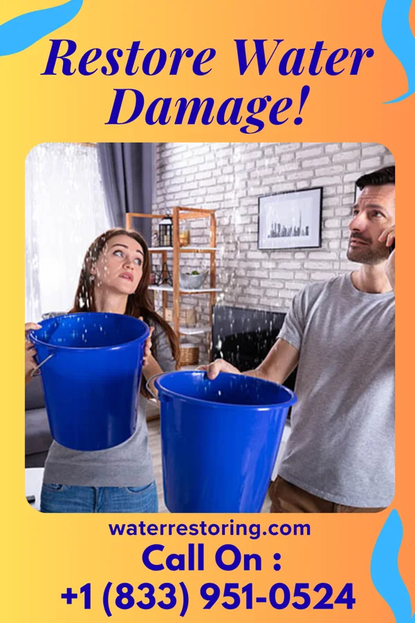 water restoration Stellar Disaster Cleanup Co Canalou