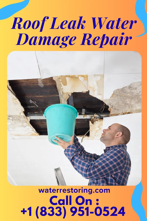 Roof Leak Water Damage Repair in Canalou, MO