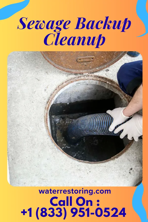 Sewage Backup Cleanup in Canalou, MO