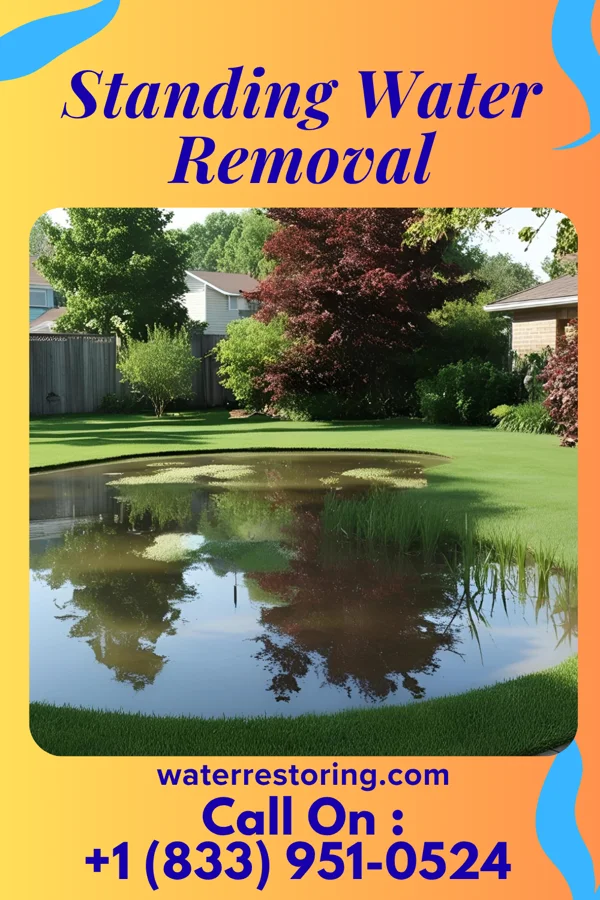 Standing Water Removal in Canalou, MO